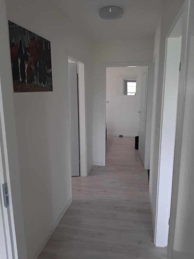 Iefjeshoeve Petten Exterior photo